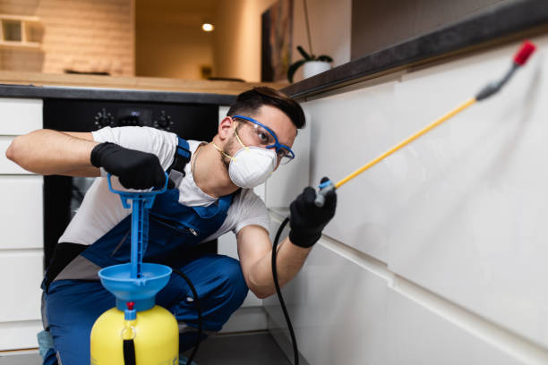 Best Affordable Pest Control Services  in Laconia, NH