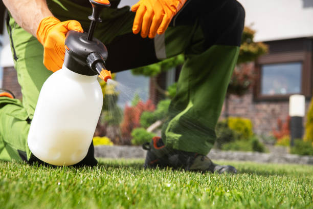 Best Local Pest Control Services  in Laconia, NH