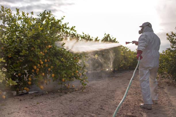 Best Emergency Pest Control  in Laconia, NH