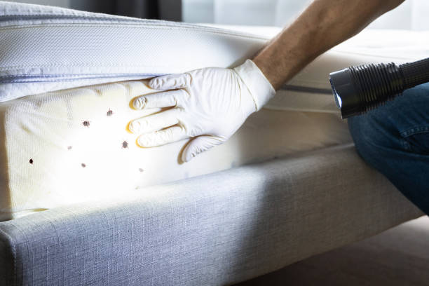 Best Best Pest Control Companies  in Laconia, NH