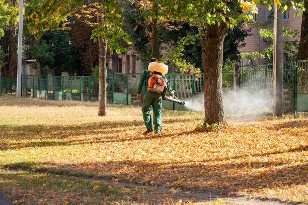Best Exterminator Services  in Laconia, NH