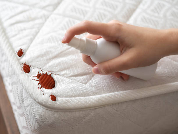 Best Cockroach Control Services  in Laconia, NH