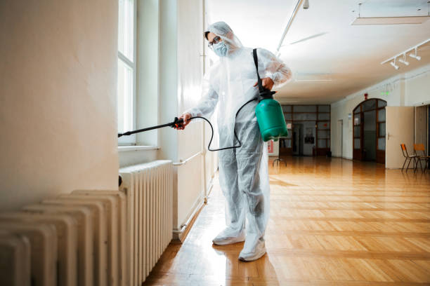 Best Flea Control Services  in Laconia, NH