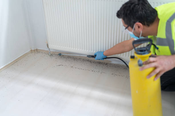 Best Pest Control for Homes  in Laconia, NH
