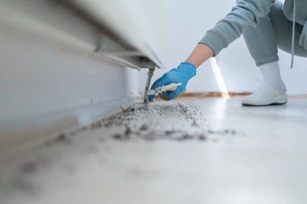 Best Affordable Pest Control Services  in Laconia, NH