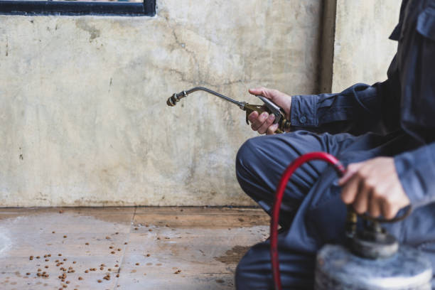 Best Best Pest Control Companies  in Laconia, NH